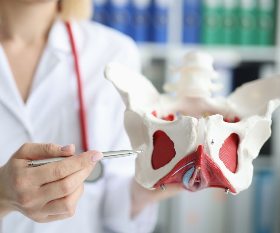 prevenzione pavimento pelvico me donna salute