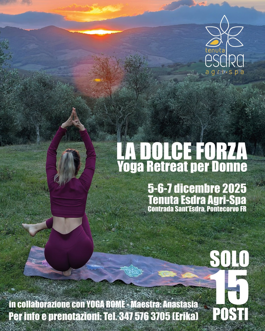 immagine whatsapp 2025 11 06 ore 16.27.21 aad6693d immagine whatsapp 2025 11 06 ore 16.27.21 aad6693d